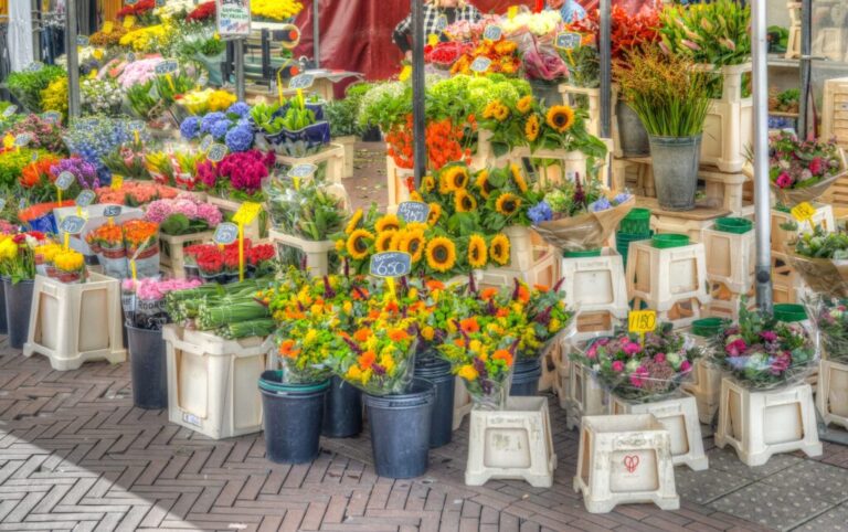 Braderie Treebeek 2026